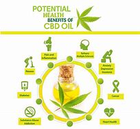 Is CBD a New Method for Controlling Abnormal Levels of Cholesterol?