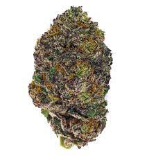 Nam Wellness Quarterly Strain Spotlight: Forbidden Fruit – Bringing Some Incredible and Tranquil Effects!