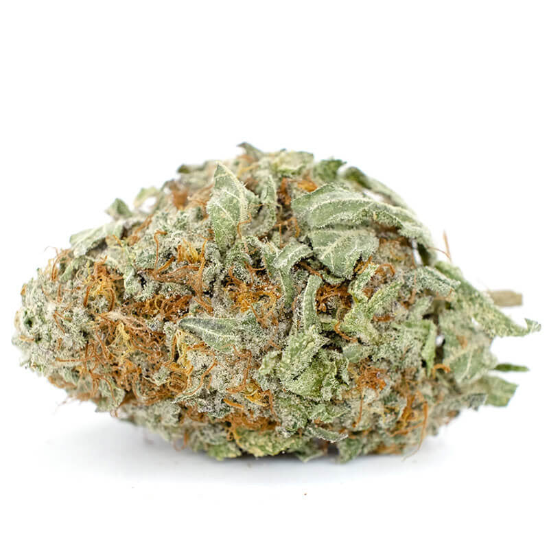 pear*holly*hemp専用　PC Peach Tree THCa Indoor Flower - Hemp Flower - Indoor THCA